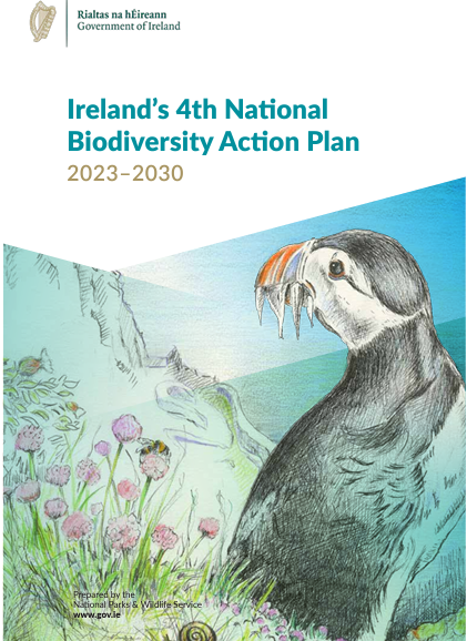 Ireland's 4th National Diversity Plan Cover Image