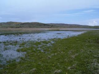 Sheskinmore NR - Lough & Marsh