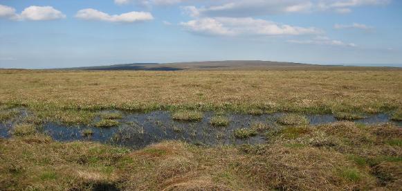 Slieve Bloom NR -plateau and bog pool