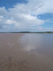 Photo of Tralee Bay mudflat