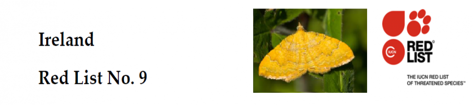 Ireland Red List No. 9: Macro-moths (Lepidoptera)